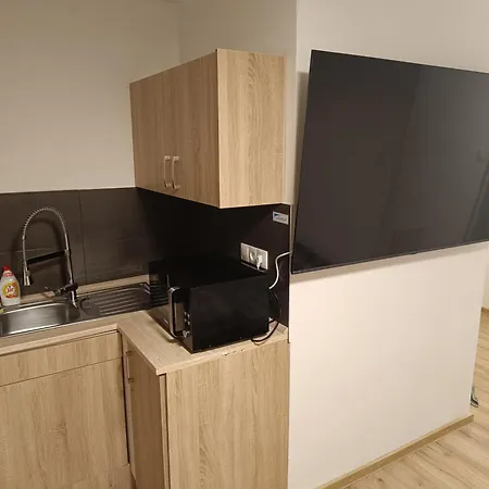 公寓 Garsoniera Za Bezrucem 俄斯特拉发