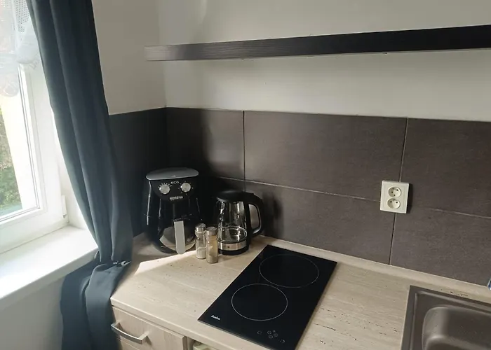 Apartment Garsoniera Za Bezrucem *