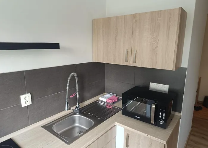 公寓 Garsoniera Za Bezrucem *