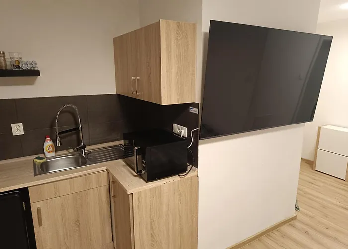 Apartment Garsoniera Za Bezrucem Ostrava